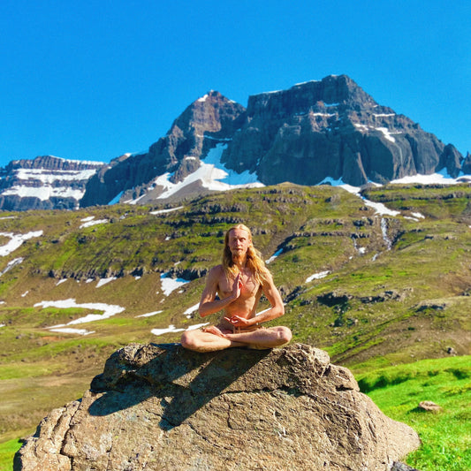 Royal Celebration  // Stefán Elí