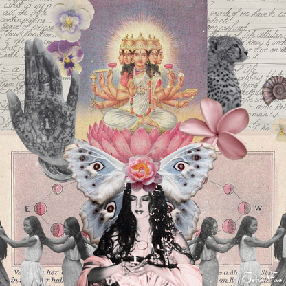 Petals of the Infinite Face // Limited Ninja Drop