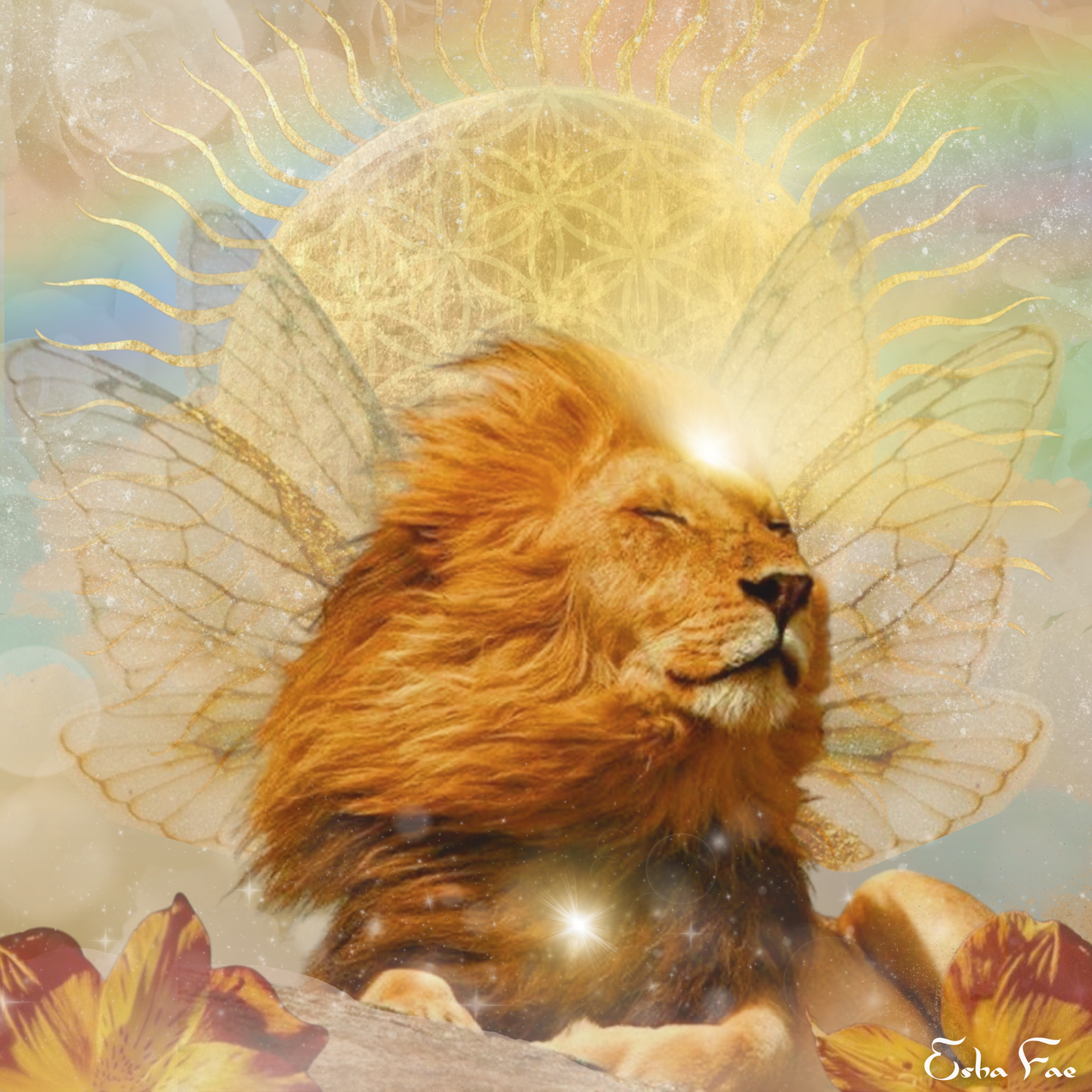 Lion's Gate // HOODIE