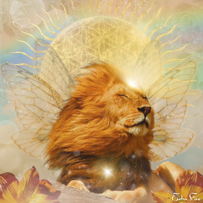 Lion's Gate // HOODIE