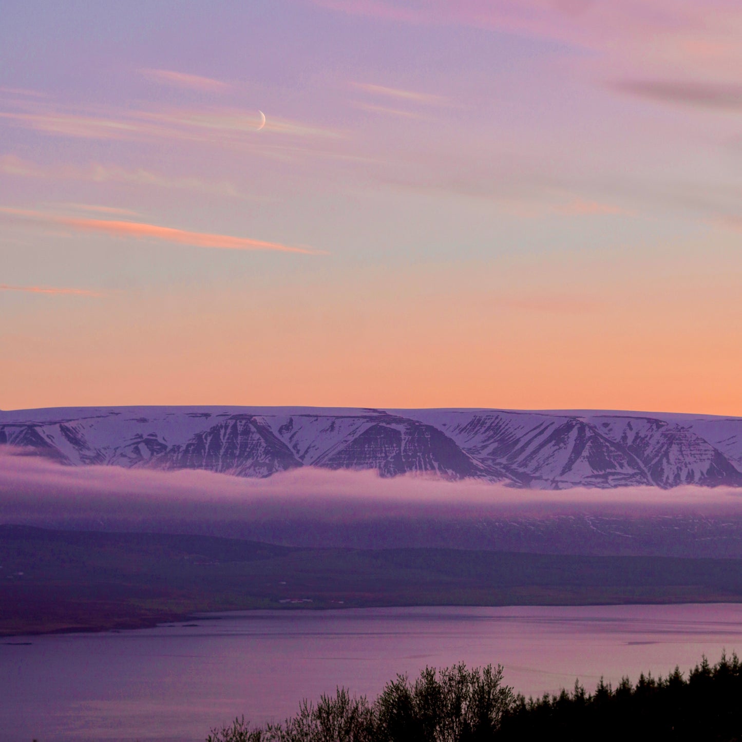 Divine Harmony  // Stefán Elí