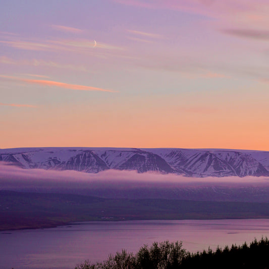 Divine Harmony  // Stefán Elí