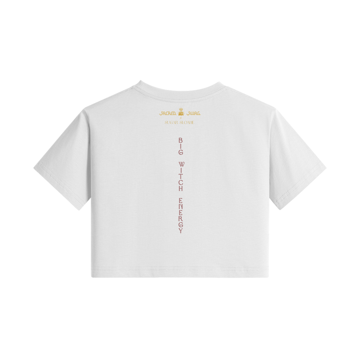 0-Y74-Back Side
